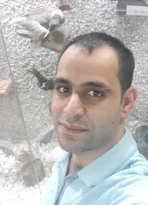 هادي, 32, جمهورية مصر العربية, المنصورة