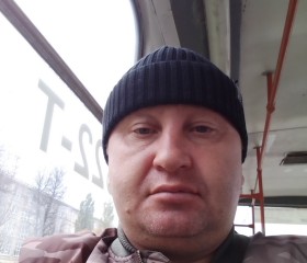 Сергей Дементьев, 46 лет, Тула