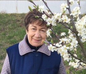 Таня, 70 лет, Калининград
