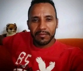 Daniel, 39 лет, Rio de Janeiro