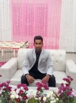 Ramesh, 27 лет, Mohali