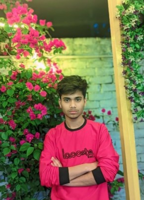 Shadhin, 19, বাংলাদেশ, টঙ্গী