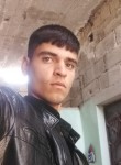 Şêro, 22 года, Birecik