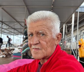 Николай, 66 лет, Волгоград