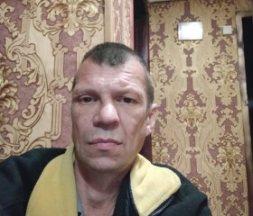 Дмитрий, 41 год, Скопин