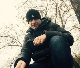 Алексей, 35 лет, Щекино