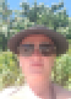 Dianne из Florianópolis 43 года
