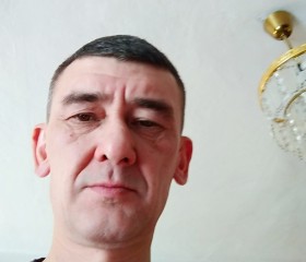 Вадим, 50 лет, Калининград