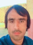 Alamgir, 33 года, اسلام آباد