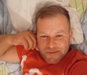 Klaus, 38 лет, Lushnjë