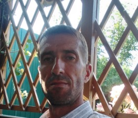 Viktor, 39, Frankfurt am Main
