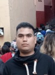 Luis, 26 лет, Jaral del Progreso
