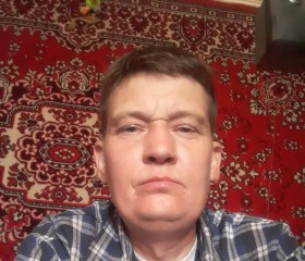 Сергей, 47 лет, Горад Гомель