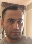 Shavkat, 34 года, Toshkent