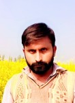 Sharafat jutt, 34 года, لاہور