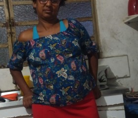 Iara, 48 лет, Bragança Paulista