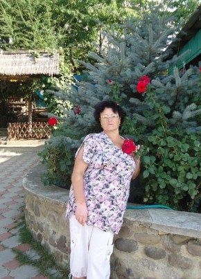 лида, 71, Россия, Воинка