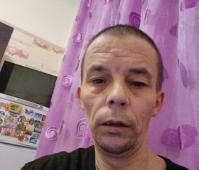 Олег, 43 года, Раменское