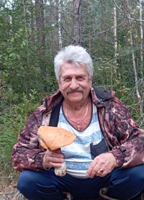 Михаил, 68, Россия, Темрюк