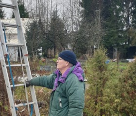 aleksandr, 68, Saint Petersburg