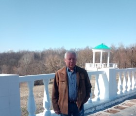 Геннадий, 66 лет, Орёл