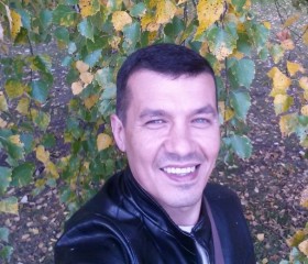 Олег, 46 лет, Апрелевка