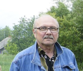 Валерий, 65 лет, Иланский