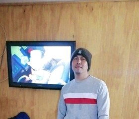 Víctor, 39 лет, Valdivia