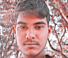 Ankit Kumar, 19 лет, Bharwāri