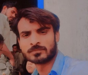 Fidawattoo, 31 год, لاہور