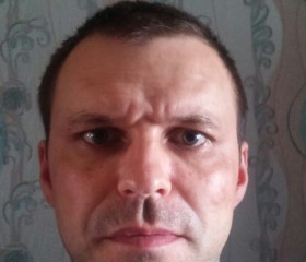 Владимир, 43 года, Мураши