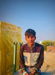 Bhanu, 18 лет, Hodal