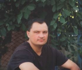 Анатолий, 43 года, Пролетарск