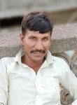 रमेश vaniya, 36 лет, Dāmnagar