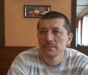 Анатолий, 54 года, Владимир
