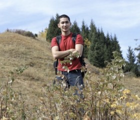 Dan, 37 лет, Бишкек
