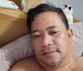 Roberto, 53 года, Dapitan