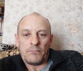 Андрей, 47 лет, Шемонаиха