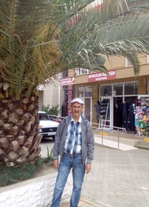 Исмаил, 63, Россия, Симферополь