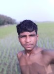 Tushar, 19 лет, কিশোরগঞ্জ