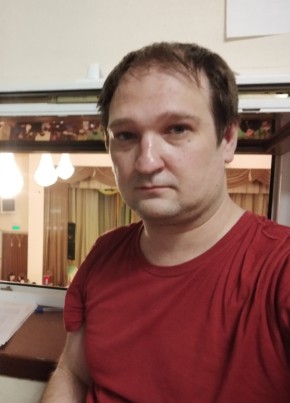 Aleksandr, 40, Russia, Vyborg