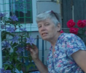 Анна Шарнина, 66 лет, Краснодар