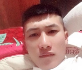 Minh, 29 лет, Thành Phố Hạ Long