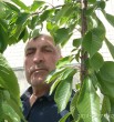 Расим