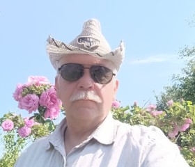 Ignat, 66, Petrozavodsk