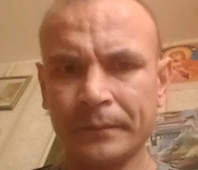 Владимир, 43 года, Белоомут