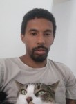 Nathan, 34 года, Região de Campinas (São Paulo)