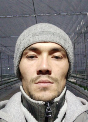 ИброхимАрсенов, 32, O‘zbekiston Respublikasi, Toshkent