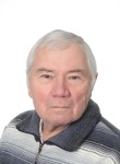 Николай, 72 года, Новосибирск