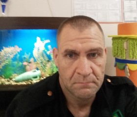 Дмитрий Варлак, 45 лет, Юргамыш